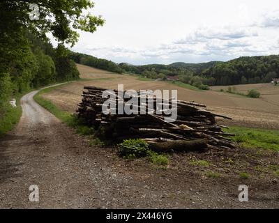 Tas de bois, chemin de champ à la lisière de la forêt mène à travers des terres arables, des terres agricoles, près de Riegersburg, région volcanique de Styrie, Styrie Banque D'Images