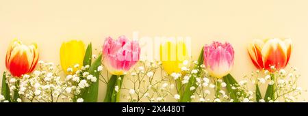 Fond de printemps, tulipes multicolores avec gypsophila sur fond jaune, bannière Banque D'Images