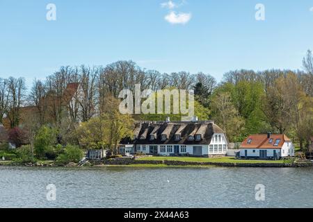 Église, maisons au toit de chaume, arbres, Sieseby, Schlei, Schleswig-Holstein, Allemagne Banque D'Images