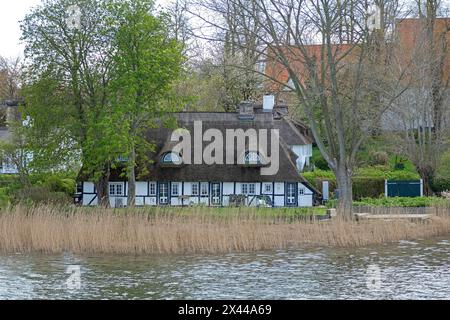 Église, maisons au toit de chaume, arbres, Sieseby, Schlei, Schleswig-Holstein, Allemagne Banque D'Images