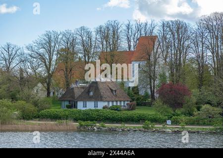 Église, maisons au toit de chaume, arbres, Sieseby, Schlei, Schleswig-Holstein, Allemagne Banque D'Images