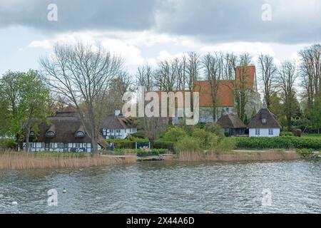 Église, maisons au toit de chaume, arbres, Sieseby, Schlei, Schleswig-Holstein, Allemagne Banque D'Images