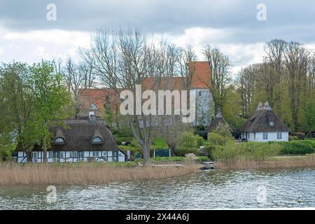 Église, maisons au toit de chaume, arbres, Sieseby, Schlei, Schleswig-Holstein, Allemagne Banque D'Images