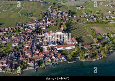 Vol Zeppelin au-dessus de la rive du lac de Constance, vignobles et église, vue aérienne, Hagnau, Bade-Wuerttemberg, Allemagne Banque D'Images