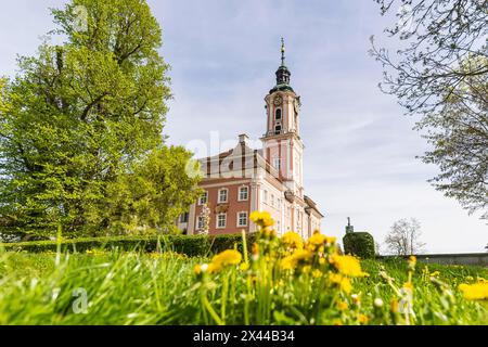 Église de pèlerinage de Birnau, église baroque sur la rive nord du lac de Constance, Uhldingen-Muehlhofen, Bade-Wuerttemberg, Allemagne Banque D'Images