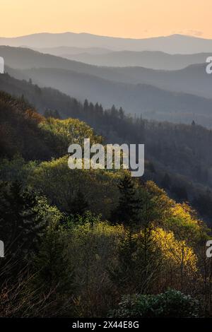 Première lumière frappant la pente montagneuse vallée d'Oconaluftee, parc national des Great Smoky Mountains, Caroline du Nord Banque D'Images