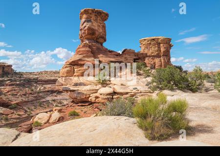 Big Spring Canyon dans le district de Needles, Canyonlands National Park., Utah. Banque D'Images