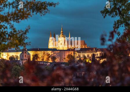 Château de Prague Banque D'Images