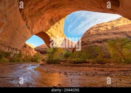 Jacob Hamblin Arch vu sous le grès géant adjacent à Coyote Gulch, Glen Canyon National Recreation Area, Utah. Banque D'Images