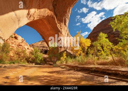 Jacob Hamblin Arch vu sous le grès géant adjacent à Coyote Gulch, Glen Canyon National Recreation Area, Utah. Banque D'Images