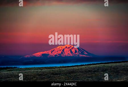 États-Unis, État de Washington, Zillah. Lumière de l'aube sur Mt. Adams vu du pays viticole de la vallée de Yakima en hiver. Banque D'Images