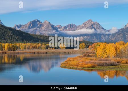 Couleur d'automne à Oxbow Bend de la rivière Snake, Grand Teton National Park, Wyoming. Banque D'Images