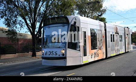 Tramway de classe d, exploité par Yarra trams, circulant le long de High St dans la banlieue de Melbourne tout en étant couvert par la publicité pour la marque de vêtements Hugo Boss Banque D'Images