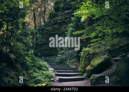 Paysage naturel - vue des escaliers entre les rochers sur un chemin de montagne en Suisse saxonne, Allemagne Banque D'Images
