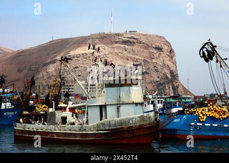 Pélicans et cormorans perchés sur de vieux excréments d'oiseaux / bateau de pêche couvert de guano amarré dans le port, promontoire El Morro en arrière-plan, Arica, Chili Banque D'Images