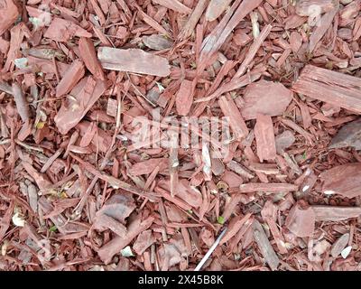 Cette photographie en gros plan capture les motifs complexes et les textures formés par un arrangement dispersé de copeaux de bois brun rougeâtre. La création de l'image Banque D'Images