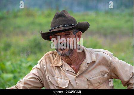 Un cultivateur de tabac portant un chapeau de cow-boy posant pour sa photo à prendre dans sa plantation dans la vallée de Vinales, Vinales, Cuba. Banque D'Images