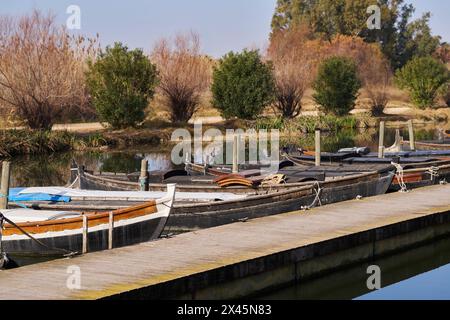 albufera de valencia bateaux en bois amarrés au quai Albuferenc ou Barca Levantina Banque D'Images