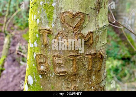 Gros plan de deux noms de peuples et d'un cœur sculpté dans l'écorce d'un jeune arbre en signe d'amour et de solidarité. Banque D'Images