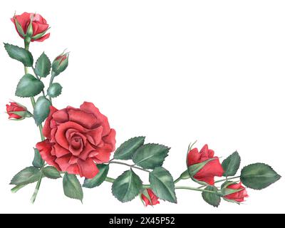 Roses. Cadre graphique avec branches de rose dans un style moderne. Fleur rouge foncé. Fleurs rubis profondes romantiques. Illustration aquarelle avec espace de copie pour le texte Banque D'Images