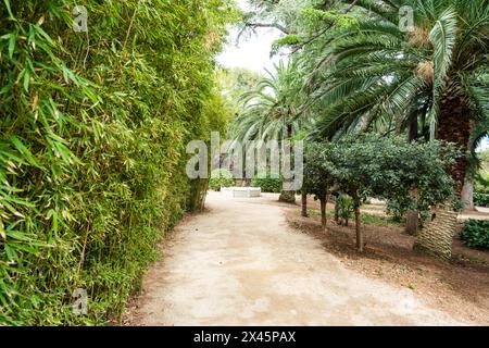 Park im Königlichen Palast von Pedralbes à Barcelone, Espagne Barcelone Katalonien Spanien *** Parc dans le Palais Royal de Pedralbes à Barcelone, SP Banque D'Images