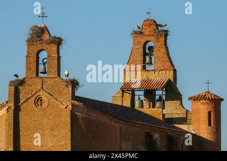 Cigognes blanches nichant sur l'église de Villafaflla, région de Castilla y Leon, Espagne Banque D'Images