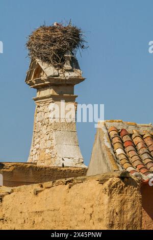 Cigogne blanche nichant sur une vieille cheminée dans le nord de l'Espagne Banque D'Images