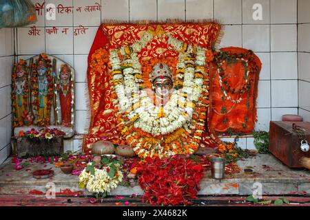 Sanctuaire à Varanasi, Inde avec une icône de déesse, une statue de Hanuman et des statues de Rama, Sita et Lakshmana. Banque D'Images