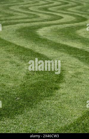 Pelouse soigneusement tondue avec une bande ondulée inhabituelle. Photographié au printemps au Wisley Garden, Woking, Surrey, Royaume-Uni. Banque D'Images
