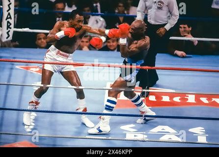 Boxe Suger Ray Leonard vs Marvin Hagler 1987 WBC et The Ring Middleweight combat Banque D'Images