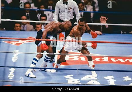 Boxe Suger Ray Leonard vs Marvin Hagler 1987 WBC et The Ring Middleweight combat Banque D'Images