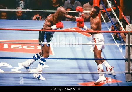 Boxe Suger Ray Leonard vs Marvin Hagler 1987 WBC et The Ring Middleweight combat Banque D'Images