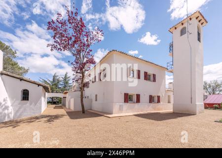 Façades blanches d'une maison de campagne de style cortijo andalou avec des fenêtres à volets en bois rouge et des sols en terre cuite et en gravier par une journée de ciel clair Banque D'Images