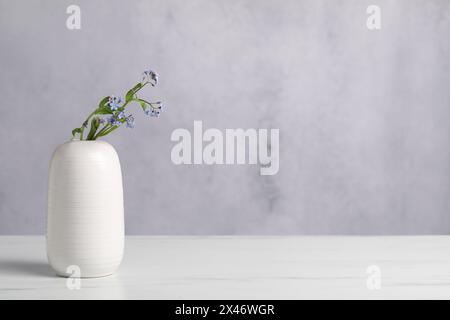 Belles fleurs oubliées dans un vase sur une table en marbre blanc. Espace pour le texte Banque D'Images