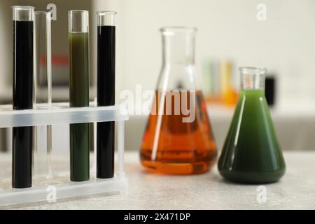 Verrerie de laboratoire avec différents types de pétrole brut sur table gris clair Banque D'Images Verrerie de laboratoire avec différents types de pétrole brut sur table gris clair Banque D'Images