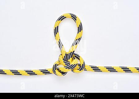 Nœud Alpine Butterfly Loop sur corde en nylon jaune et noir sur fond blanc. Banque D'Images