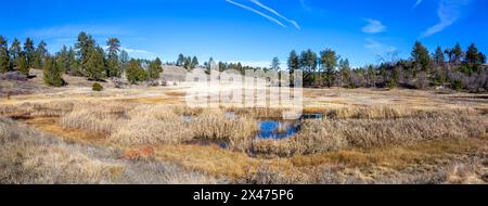 Cuyamaca Rancho California State Park Historic Stonewall mine Minshall Hiking Trail. Paysage panoramique Southwest US Plains Prairie Prairie Meadow Prassland Banque D'Images