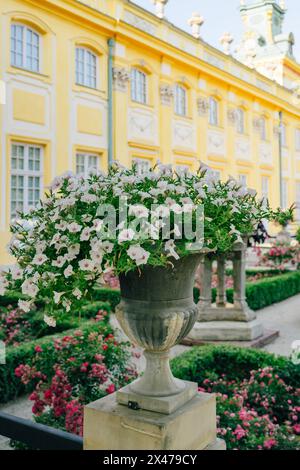 Les pots de fleurs éclatent avec une profusion de fleurs de pétunia de jardin colorées, créant un affichage vibrant et enchanteur Banque D'Images