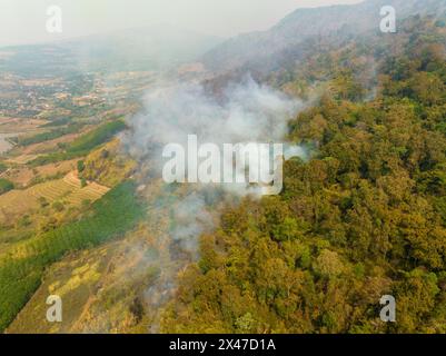 La principale cause de la perte de forêts est la déforestation agricole, les dommages environnementaux en Asie du Sud-est , le réchauffement climatique et l'environnement. Banque D'Images