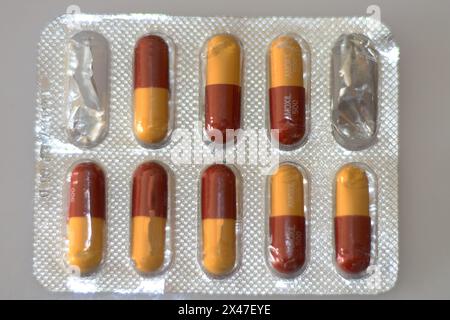 CAPSULES D'AMOXICILLINE. Banque D'Images