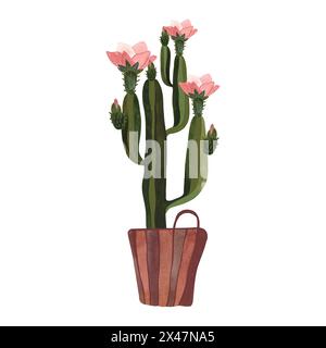 Cactus dans un panier en osier. Plantes pour la maison. Floriculture. Décoration intérieure. Illustration d'aquarelle isolée sur fond blanc. Clipart. Banque D'Images