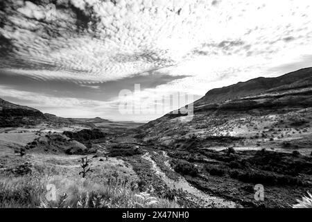 Le cours supérieur de la rivière Tugela, où il coule à travers les montagnes Drakensberg en Afrique du Sud en noir et blanc Banque D'Images