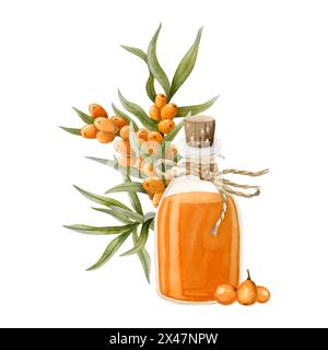 Bouteille en verre d'huile de Seaberry et illustration d'aquarelle de branche de baies d'orange. Produit biologique d'argousier à base d'herbes Banque D'Images