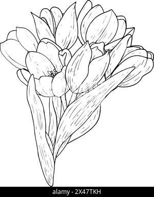 Illustration vectorielle de bouquet de fleurs de tulipe. Dessin graphique de tête d'ampoule à feuilles courbes avec contour noir. Carte de voeux en fleurs botaniques. Contour de ligne d'encre Illustration de Vecteur