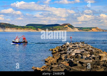 Un bateau de pêche coloré retournant au port de Lyme Regis sur la côte jurassique avec Golden Cap Beyond, Dorset, Angleterre, Royaume-Uni Banque D'Images