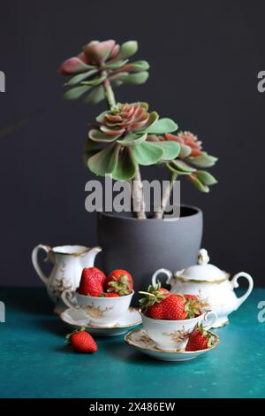 Nature morte avec plante succulente dans un pot gris, fraises biologiques mûres dans des tasses en porcelaine vintage blanche sur fond texturé avec espace pour le texte. Banque D'Images