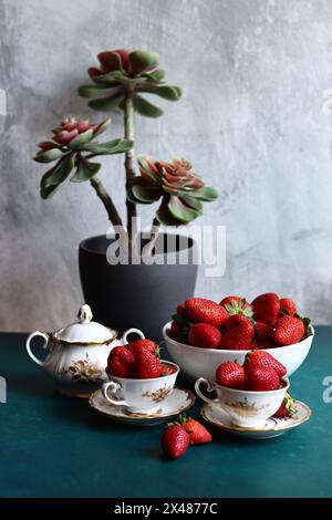 Nature morte avec plante succulente dans un pot gris, fraises biologiques mûres dans des tasses en porcelaine vintage blanche sur fond texturé avec espace pour le texte. Banque D'Images