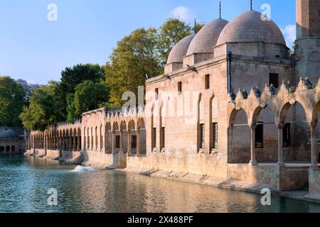 Bassin d'Abraham où le prophète a été jeté au feu par le roi Nimrod, Sanliurfa, Turquie Banque D'Images