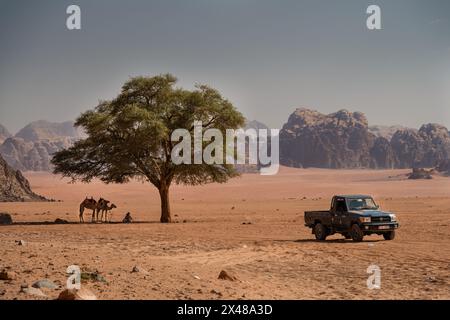 Wadi Rum, Jordanie - octobre 29 2022 : paysage avec arbre, garçons se reposant à l'ombre et camionnette Landcruiser. Banque D'Images