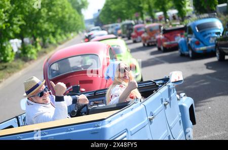 Hanovre, Allemagne. 01 mai 2024. Un couple vient à la réunion Beetle du 41 mai sur le terrain de l'exposition. Plusieurs centaines de propriétaires de Volkswagen Beetles et d'autres voitures classiques VW se rencontrent dans les parkings de l'ouest du parc des expositions. Crédit : Julian Stratenschulte/dpa/Alamy Live News Banque D'Images